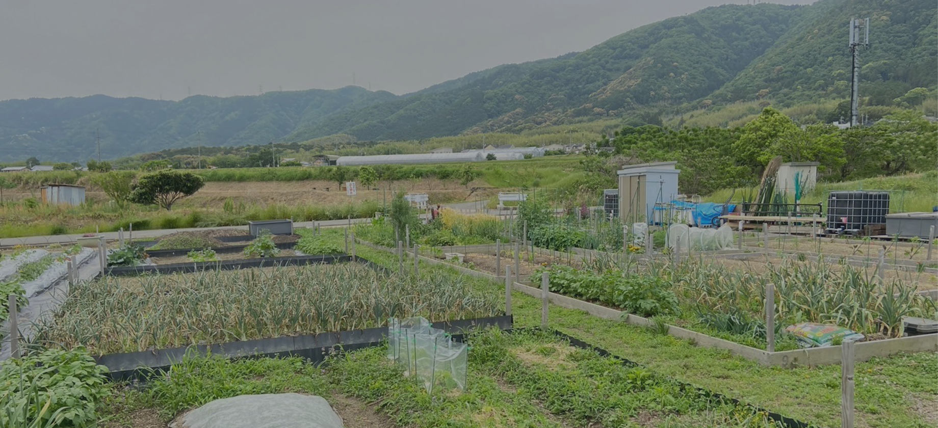 ご利用案内
